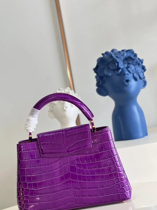 BB VUITTON CAPUCINES LOUIS 0728